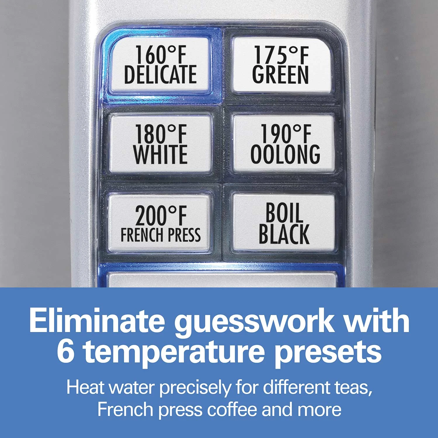 Variable Temperature Electric Kettle, Stainless Steel 2 Variable Temperature Electric Kettle, Stainless Steel - Image 2