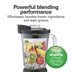 Wave-Action® Blender -Kitchenware Sales Shop 53521F VPA 03